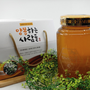 피나무꿀 2400g (100%숙성생꿀)